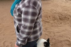 Clickertraining, Tricktraining