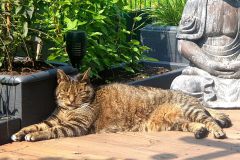 Sterbebegleitung, Trauerbewältigung