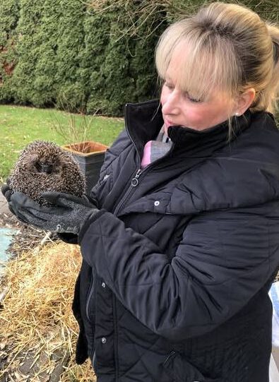 Tierschutz Igel Überwinterung Auswilderung