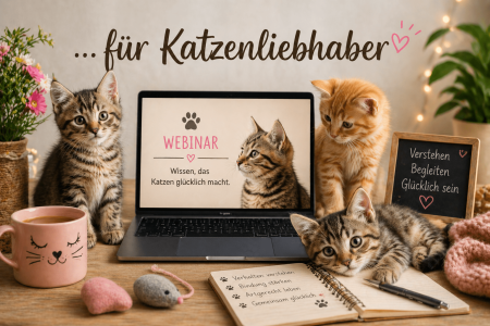 Webinare